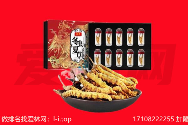 德宏芒市回收虫草.jpg